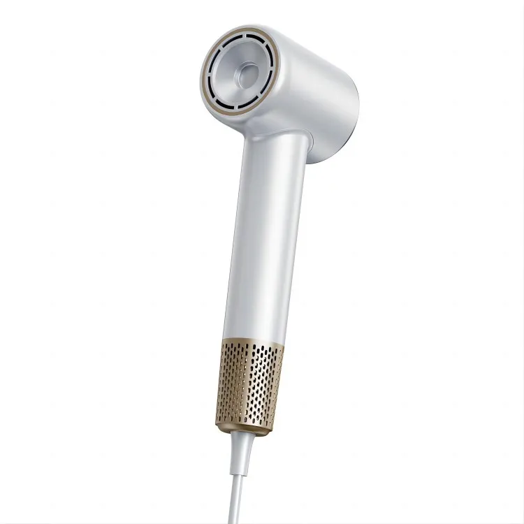 Professionel personlig hårtørrer